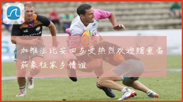 加维法比安回乡受热烈欢迎赠重番茄象征家乡情谊